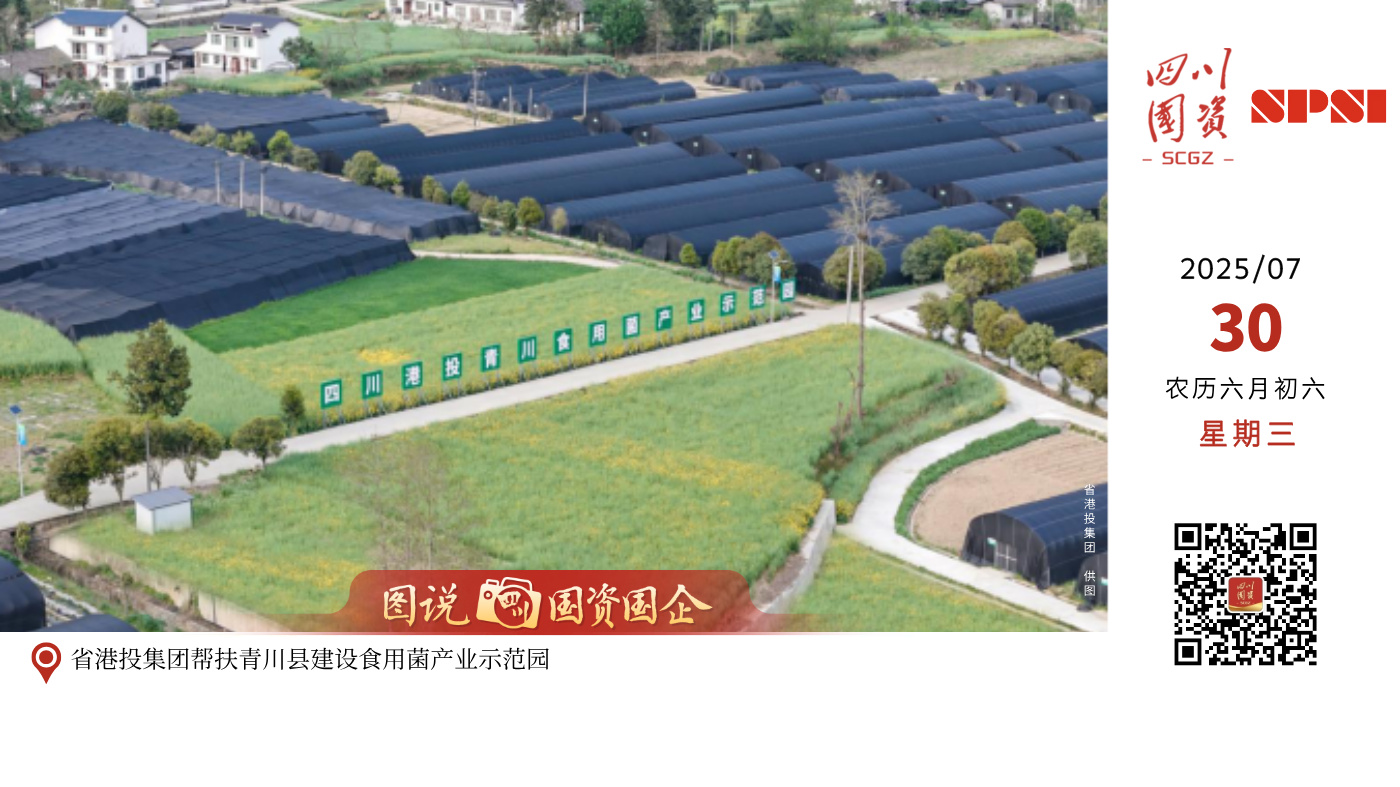 省港投集团帮扶青川县建设食用菌产业示范园，示范种植羊肚菌、新品种香菇，帮助老百姓找到增收致富路，引领食用菌产业升级发展。
